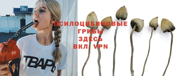 мет Корсаков