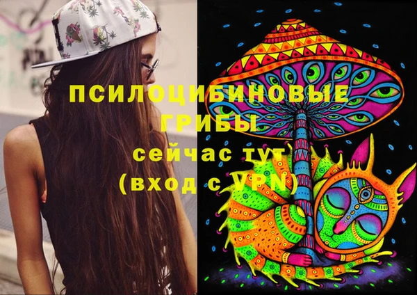 дживик Коряжма